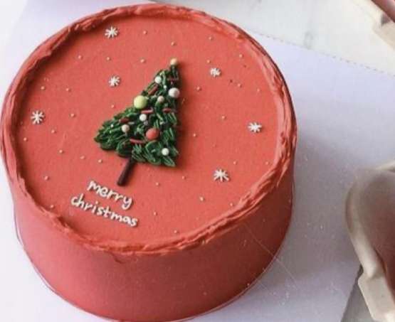 Christmas Cake – 2 Layers –  Buttercream From Scratch