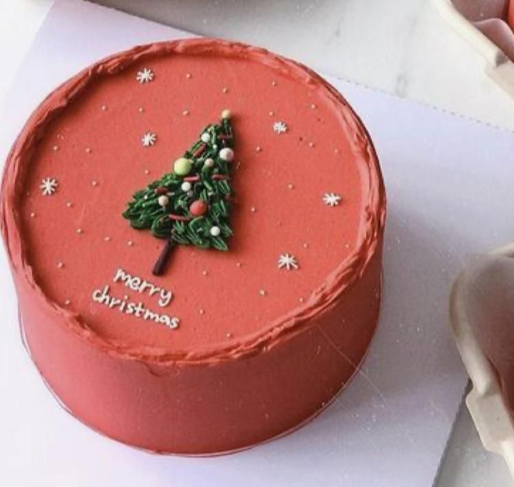 Christmas Cake – 2 Layers –  Buttercream From Scratch